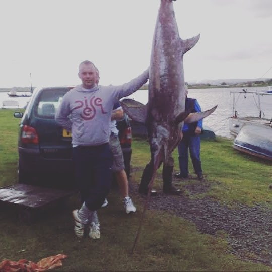 Fishing vessel Telstar, Big catch