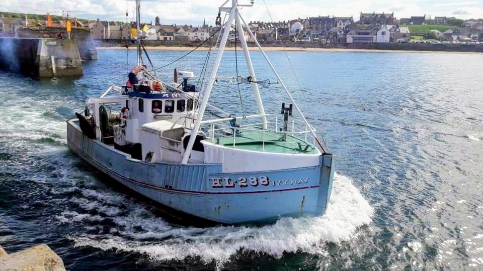 Fishing vessel Ivy May, away on the hunt, at Eyemouth