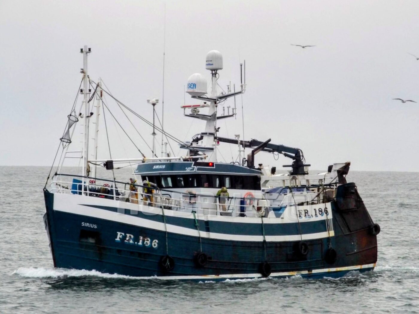 Fishing vessel Sirius, Running in to the broch, at Fraserburgh