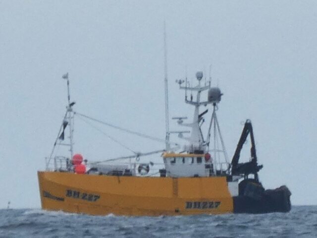Fishing vessel NIMROD, Nimrod at sea, at AMBLE, 2025